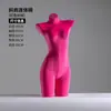 Expositor de modelos de lingerie manequim meio-corpo masculino e feminino loja de lingerie sutiã sutiã manequim corpo inteiro calcinha modelo de quadril adereços