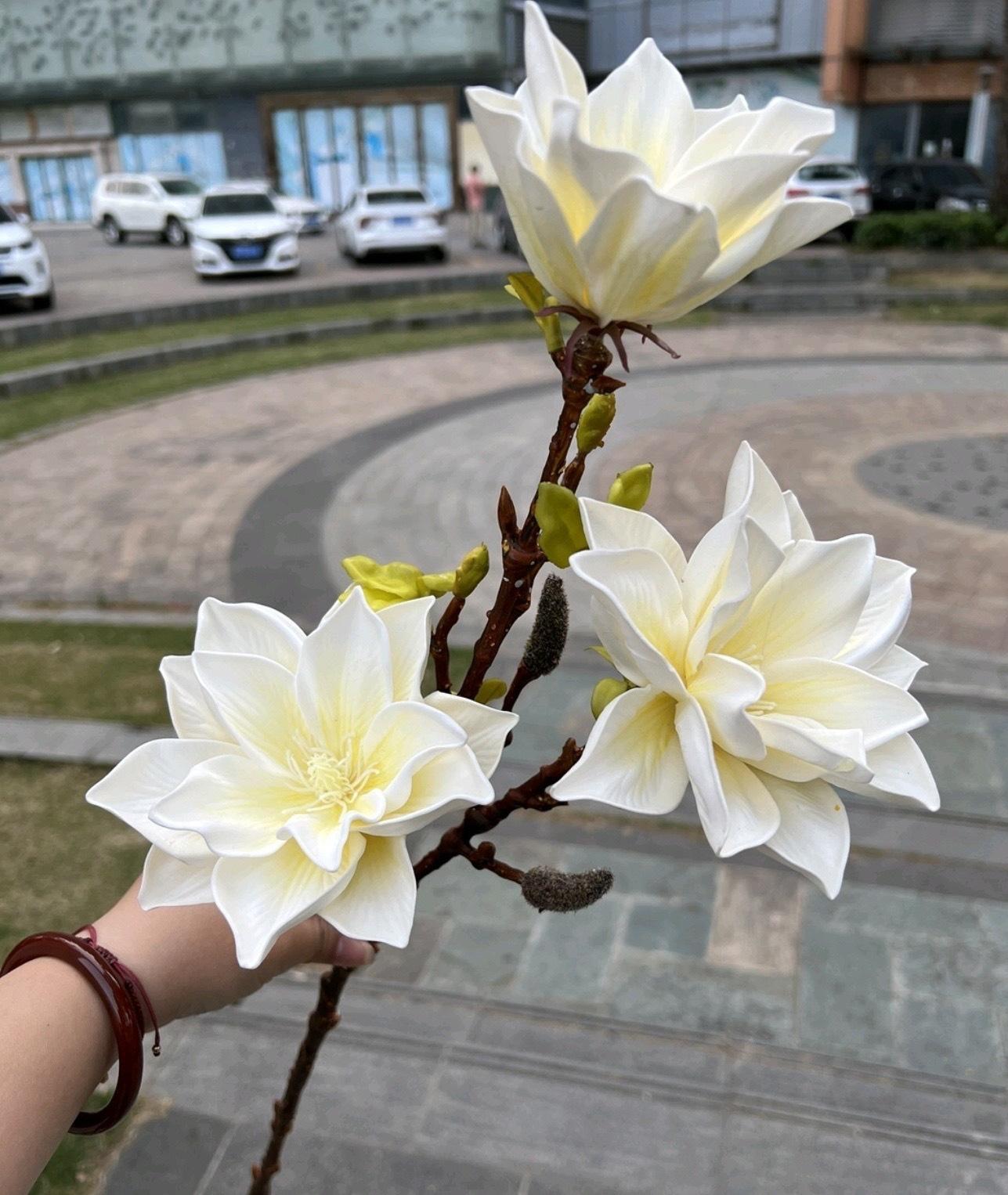 微信图片_20241006170951.jpg