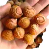 Fushuotang Jaboncillo Cáscara de Jaboncillo Material Medicinal Jaboncillo para Lavado de Manos Jaboncillo para Lavado de Cabello Cáscara de Jaboncillo Polvo de Fruta de Jaboncillo