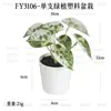 En Stock Hoja Única de Planta Verde Plástico Bonsái Decoración del Hogar Amazon Escritorio Maceta Adorno Pequeño Fabricante de Comercio Exterior