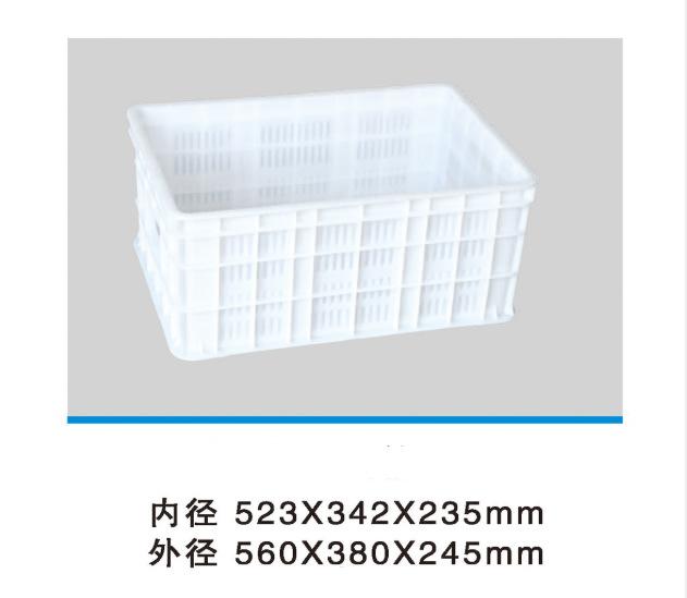 509密箱
