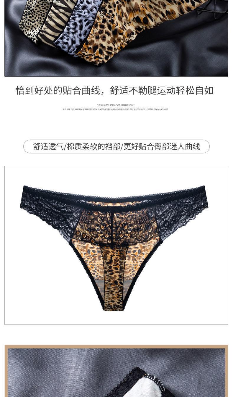 描述图(10)