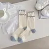 Meias de Algodão Novas de Meia-Perna para Mulheres da Primavera, Estilo Coreano, Brancas, Absorventes de Suor, Sem Costura, Inspiradas em Chanel, Azul Fresco