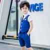 Traje de verano para niños, estilo coreano, chaleco de color sólido, conjunto de dos piezas para niñas de flores, vestido de actuación para anfitriones