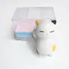 Empanadillas de animales música de pellizcar novedad japonesa y coreana creativa estudiante regalo pequeño muñeco de mascota linda TPR descompresión juguete de ventilación