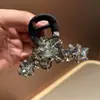 Exquisito y de Alta Gama Pinza para el Cabello de Flor de Cristal, Pinza de Garra de Tamaño Mediano para Cabello Fino, Pasador para la Parte Trasera de la Cabeza, Pinza para Moño de Cabello