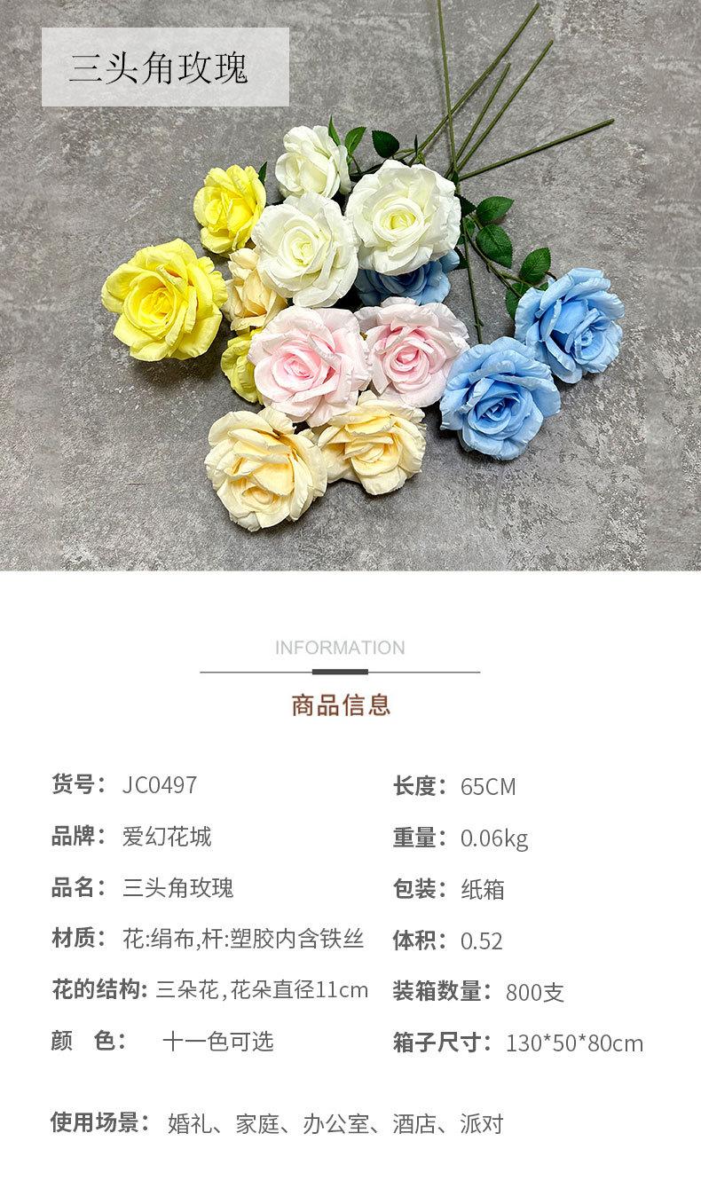 1_01.jpg