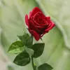 Flor Artificial Sensación Humectante Corola Rosa Arreglo de Flores Falsas Realista Adornos Sala de Estar Entrada Decoración Suave Arreglo Floral Decoración