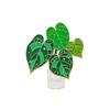 Insígnias da Série Plantas Verdes Tropicais, Insígnias de Costela de Adão, Broches Metálicos Personalizados Culturais e Criativos, Decorações e Acessórios para Mochilas de Casal