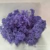 Fábrica directa mayorista de musgo de reno Yongsheng hecho a mano DIY decoración del hogar regalo fabricación de flores cubierta de vidrio