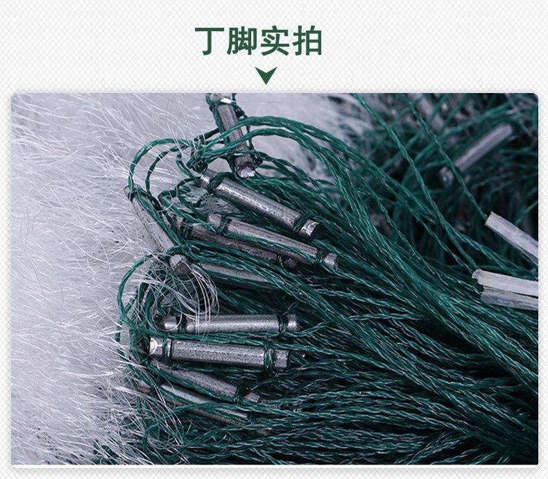 细5.jpg