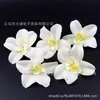 Nueva Flor de Seda Exquisita Simulada Cabeza de Orquídea Gato Flor de Pasador de Pelo DIY Tocado Dinastía Han Aro para el Cabello Broche Flor Decorativa Flor Artificial