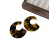 Pendientes Redondos de Acrílico Estilo Ins Aguja de Plata Pendientes Simples Elegantes de Gama Alta Moda de Nicho Pendientes Personalizados para Mujer