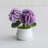 Clavel de Dos Cabezas Tejido a Mano en Maceta Flor de Lana Simulada Terminada Adornos Regalo de Vacaciones Puesto de Venta Explosiones Transfronterizas