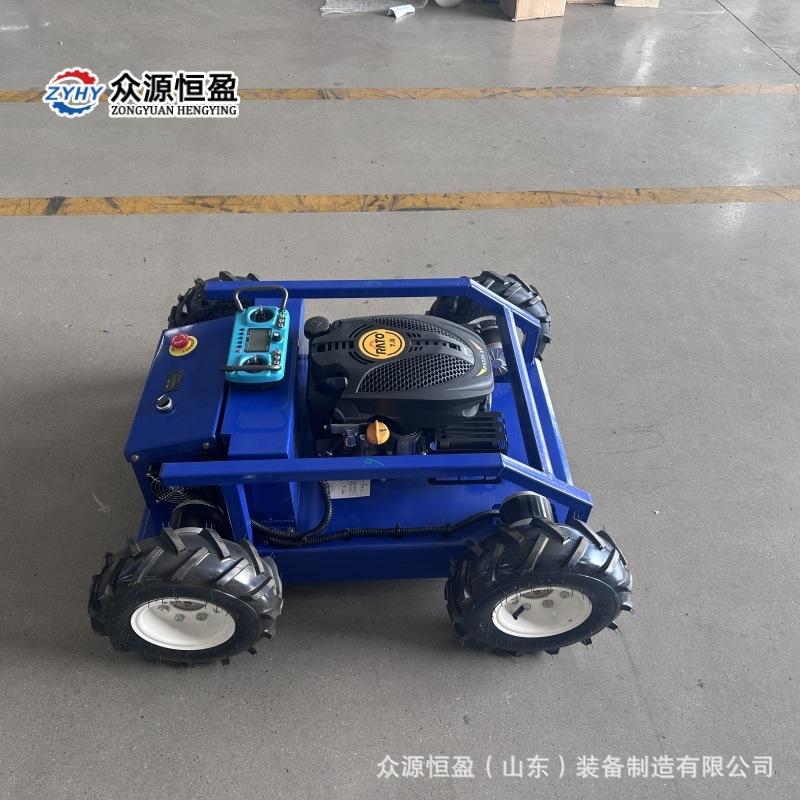 Q猎豹500头图 (12).jpg