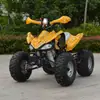 110Cc125Ccatv Moto de Praia Todo Terreno Off-Road Quadriciclo Deserto