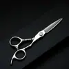 Set de Tijeras de Peluquería Herramientas Acero Inoxidable 6.5 pulgadas Estilismo Capilar Transfronterizo Corte Comercio Exterior
