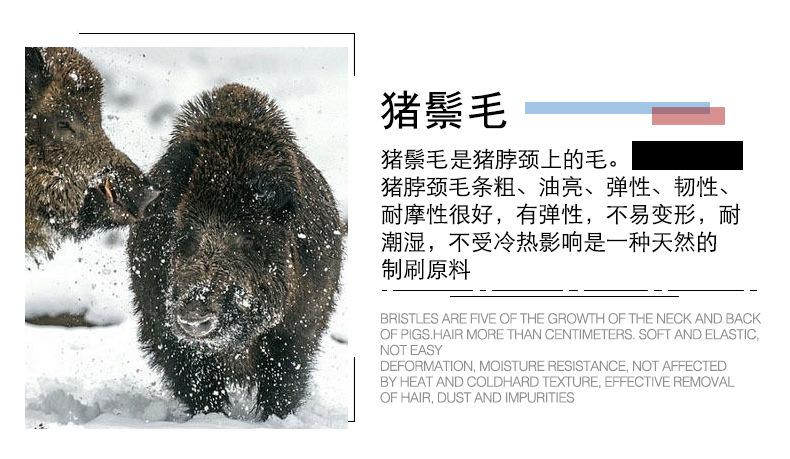 11250995009_2092725234