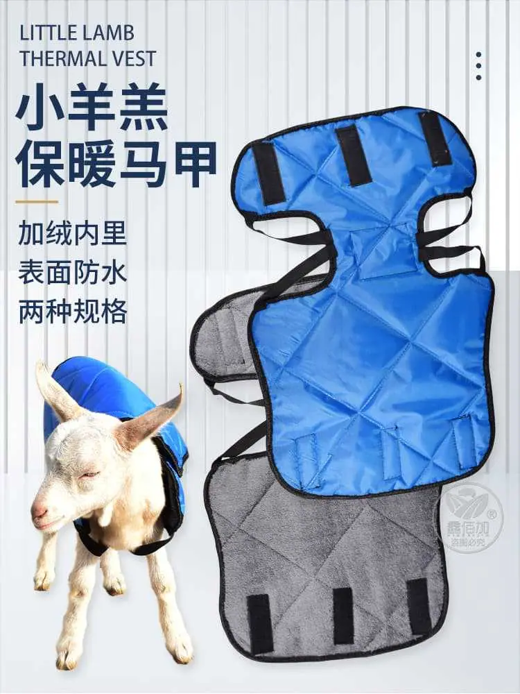 羊马甲B详情页 (1).jpg