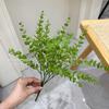 Plantas Verdes Artificiais para Casamento, Grama Aspargo Verde Estilo Floresta, Flores Artificiais Verdes, Materiais Florais Artificiais para Casamento, Série de Decoração para Salão de Casamento