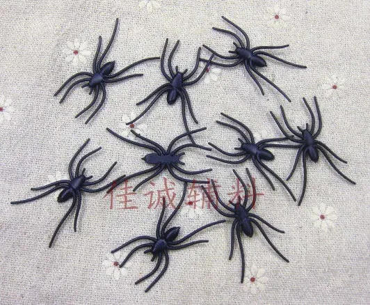 小蜘蛛软