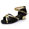 Sapatos de Dança Latina Infantil, Sapatos de Dança de Cetim de Salto Baixo, Sapatos de Dança Confortáveis de Sola Macia para Meninas, Cha-Cha, Rumba, Samba, Sapatos Brilhantes