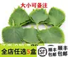 Las Pensamientos Frescas Se Pueden Usar Como Flores Comestibles Para Cocina Occidental de Hotel, Productos Horneados, Bebidas, Platos Japoneses, Ensaladas Frías y Sashimi Para Emplatado y Decoración