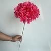 Único 72-piece Hortênsia Casamento Cerimonial Hall Teto Guia de Estrada Flor Arte Decoração Suave em estoque Hortênsia