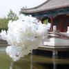 Flores Artificiales, Ramas Artificiales de Flor de Cerezo con 3 o 4 Ramas, Ramas de Flor de Cerezo para Decoración de Bodas, Flores Falsas para Decoración de Techos Interiores, Ramas Falsas de Flor de Melocotón