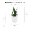 Set de Bonsái de Suculentas de Plástico Mini en Stock, Suculenta Artificial Creativa de Amazon, Flor Artificial Transfronteriza Planta en Maceta Pequeña