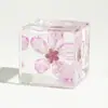 Diente de león cubo resina esfera de cristal al por mayor regalos de cumpleaños manualidades creativas adornos pequeños de resina en stock