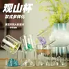 Vaso de whisky creativo estilo japonés transfronterizo, taza de café, taza de té de vidrio resistente al calor al por mayor