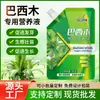 En Stock Palosanto de Brasil Tipo Específico Solución Nutritiva Fertilizante para Flores Planta de Maceta Universal Madera de la Suerte Hidroponía Cultivo en Agua Solución Nutritiva para Plantas