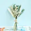 Atacado do Fabricante Flores Secas Flor Imortal Mini Buquê Caixa de Presente de Feriado Acessórios Decoração Corsage de Casamento Lembrança