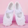 Zapatillas de Ballet Elegantes para Niñas Suela Suave Práctica Danza Cuerpo Zapatos Garra de Gato Actuación Escénica Perla Lona 8017