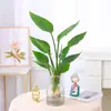 Plantas de Interior Grandes de Moda, Strelitzia Reginae, Plantas Verdes Grandes en Maceta para Sala de Estar y Oficina