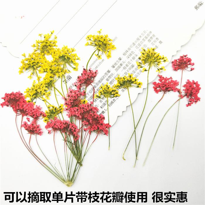IMG20180627094133