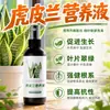 Solução Nutritiva para Espada-de-São-Jorge Fertilizante Promotor de Flores Jade Branco Borda Dourada Fertilizante Especial para Espada-de-São-Jorge Orquídea Cauda de Tigre Fertilizante para Plantas Verdes Fertilizante Solúvel em Água