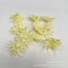 [Cabeza de Flor Violeta Oncidium] Oncidium Violeta Flor Seca Cabeza de Flor Individual Binju Cabeza de Flor de Margarita Pequeña Seca