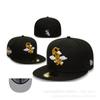 Gorra de talla nueva gorra de béisbol no ajustable protector solar sombrero con visera bordado