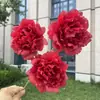 Flor artificial de peonía de tela no tejida de 3 cabezas, flor falsa para boda y decoración del hogar, venta al por mayor