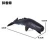 Modelo Sólido de Simulação de Vida Marinha para Crianças Tubarão Branco Grande Tubarão Megalodon Tubarão-Baleia Tubarão-Tigre Baleia Azul Brinquedo