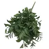 Fornecido Diretamente do Fabricante Original, Agulhas de Pinheiro Simuladas, Plantas Verdes, Folhas de Pata de Pato, Arranjos, Móveis de Decoração para Casa, Mesa de Escritório, Sala de Estar e Outras Decorações