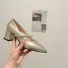 Sapatos Mary Jane Bico Fino com Strass Estilo Francês Feminino 2026 Novo Salto Bloco Decote Baixo Tira Única Para o Trabalho Sapatos de Salto Alto Únicos