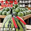 Herramienta Especial para Abrir Melones, Abre Melones, Pinzas para Sandía, Divisor de Frutas de Acero Inoxidable, Frutería