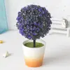 Casa pastoral simulação planta conjunto de bonsai sala de estar interna decorações de plantas verdes ornamentos simulação de bonsai