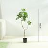 Lujo Ligero Planta Verde Simulación Pata de Pato Piso de Madera Árbol Falso Grande Sala de Estar Interior Sentido Avanzado Adornos de Decoración de Planta Biónica