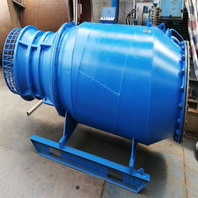 卧式雪橇式轴流泵 (10)