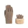 Luvas de dupla camada novas transfronteiriças com forro de fleece, espessadas, jacquard de fleece ártico, luvas quentes de inverno para ciclismo e esqui
