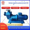 Bomba magnética horizontal ZCQ de aço inoxidável material 304/316 aço inoxidável à prova de explosão sem vazamento bomba de acionamento magnético